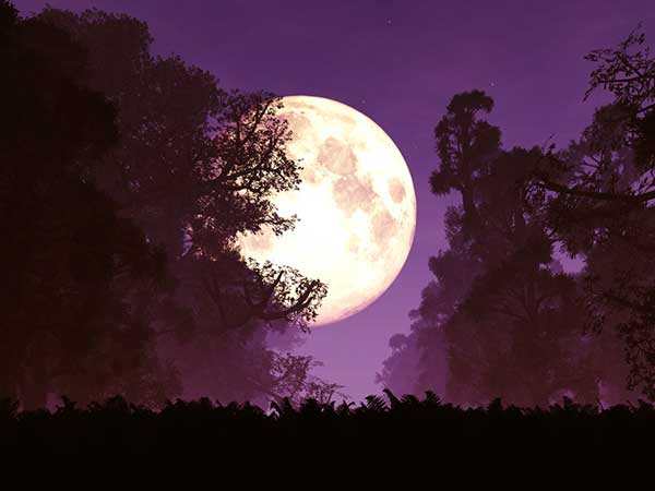 ஐப்பசி பவுர்ணமி 