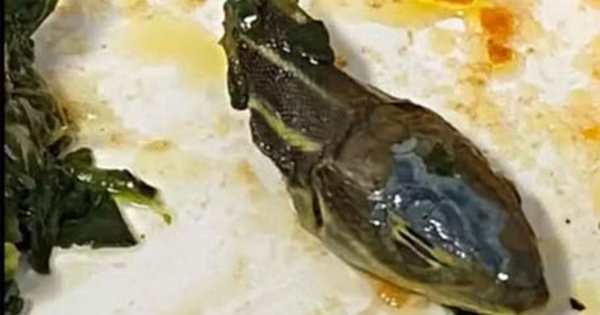 துருக்கியில்.. 