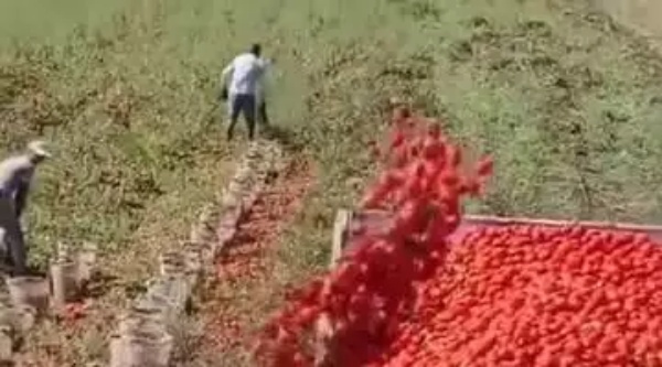 அர்னால்டின் பவரும் ஐன்ஸ்டின் மூளையும் அர்னால்டின் பவரும் ஐன்ஸ்டின் மூளையும்