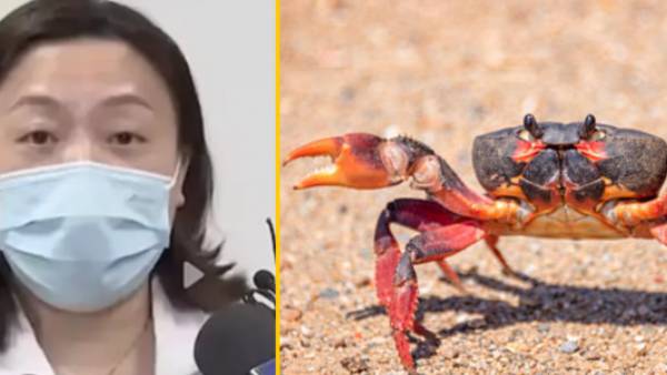 பரிசோதனைக்கு வரவேண்டும்