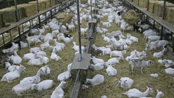 இணையதளம் விவரம் 