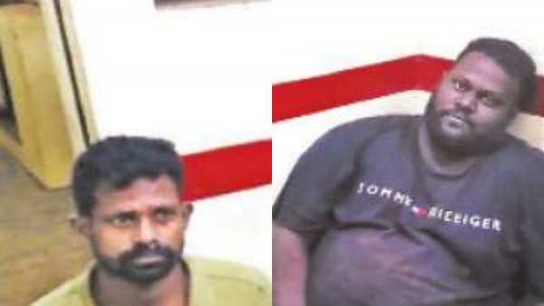  ஆட்டுக்குட்டி