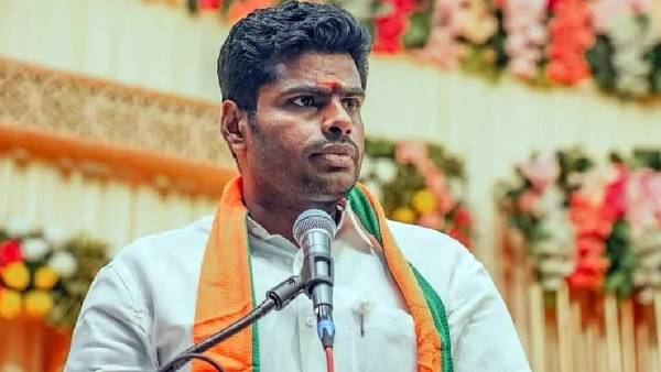 அண்ணாமலை 