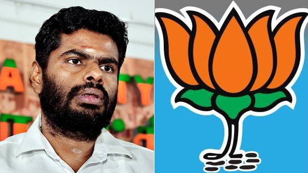 செங்கல்பட்டு மாவட்ட நிலவரம்