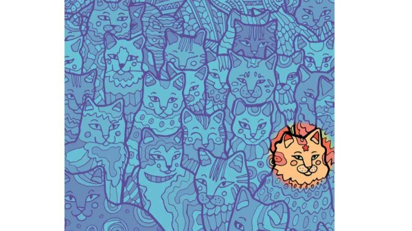 2 பூனைகளை மட்டும் கவனியுங்கள்.. 2 பூனைகளை மட்டும் கவனியுங்கள்..