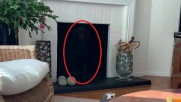 கருப்பு நிறத்தில்...