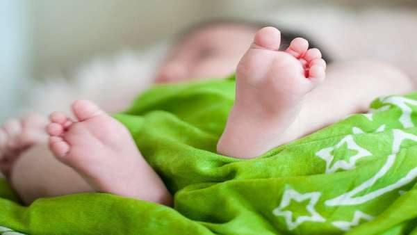 பாராட்டு பாராட்டு