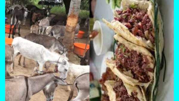  தேய்ந்த கழுதை