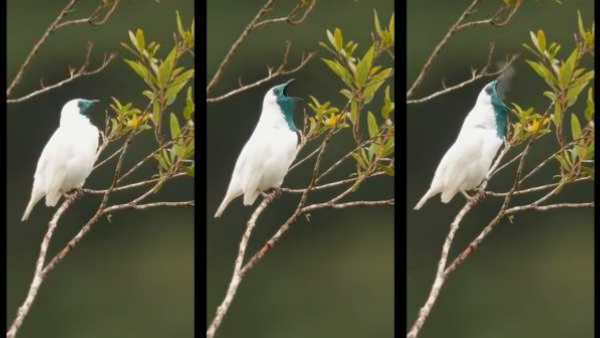 உண்மையான பெயர் என்னவாக இருக்கும் உண்மையான பெயர் என்னவாக இருக்கும்