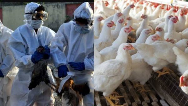  தீவிர கண்காணிப்பு 