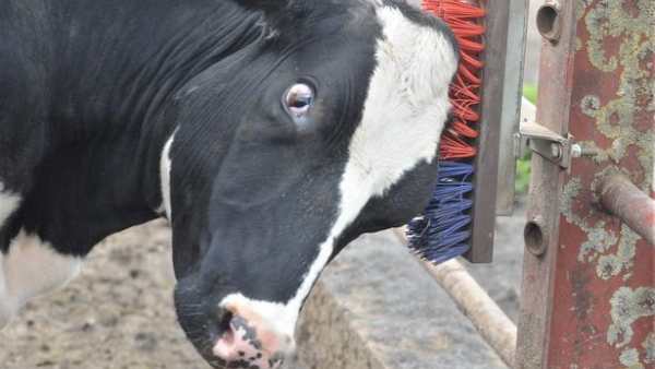  நியூசிலாந்தில் புதிய வரி விதிப்பு 