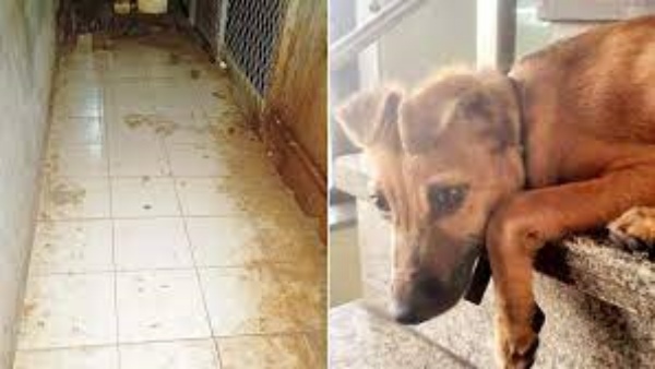 பல நாட்களாக பலாத்காரம்