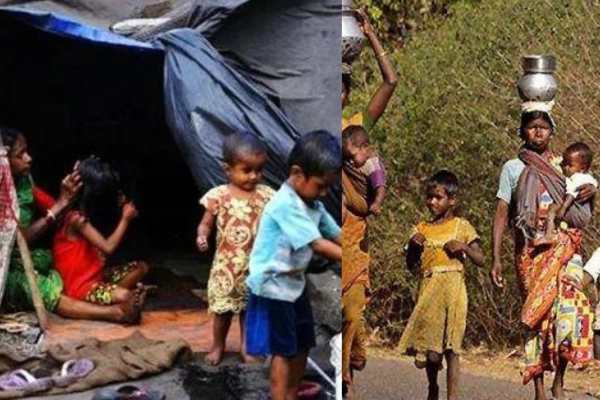 80% பேர் 80% பேர்