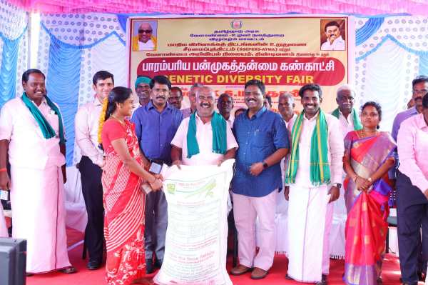 பச்சைத் துண்டு பச்சைத் துண்டு