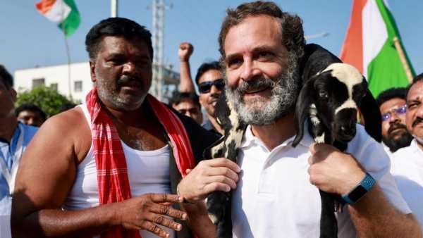 கொம்பும் ஆடும் 