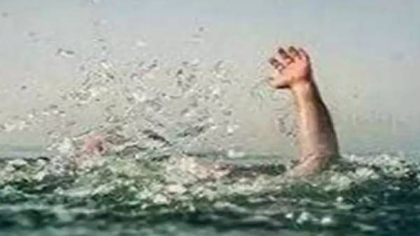 கோவை கோவை