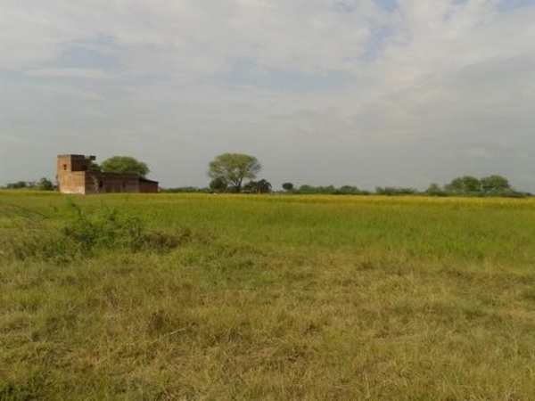 மோசடி
