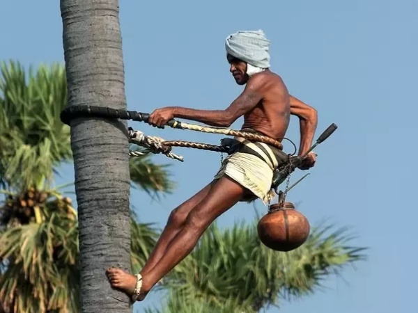 தேர்வுக் குழு