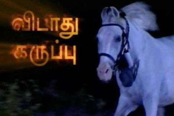 கண்களின் வழியே காட்சிகள்