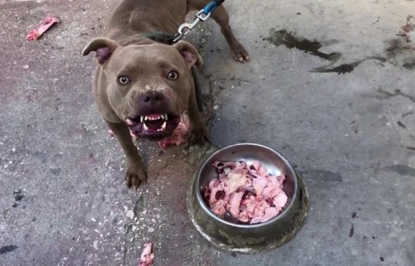 தொழிலாளர்கள் 2 பேர்