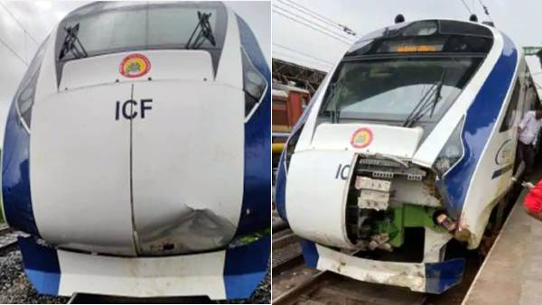 உரிமையாளரை கண்டறியும் பணி 