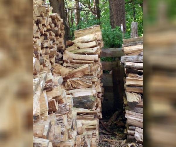 சவால் மிக்க படம் சவால் மிக்க படம்