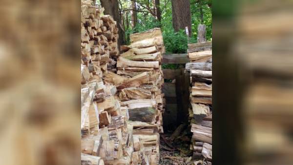 ஒரு சதவீதத்தினர் மட்டுமே ஒரு சதவீதத்தினர் மட்டுமே