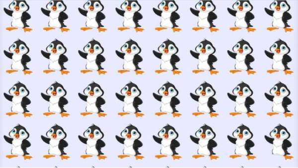 ஒரு பென்குயின் மட்டும் 