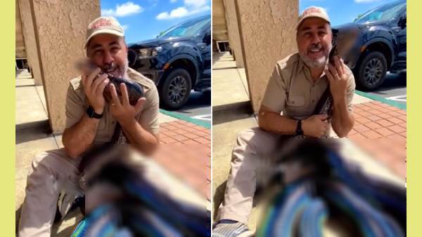 மடி மீது மலைப்பாம்பு மடி மீது மலைப்பாம்பு