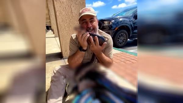 விஷம் விஷம்