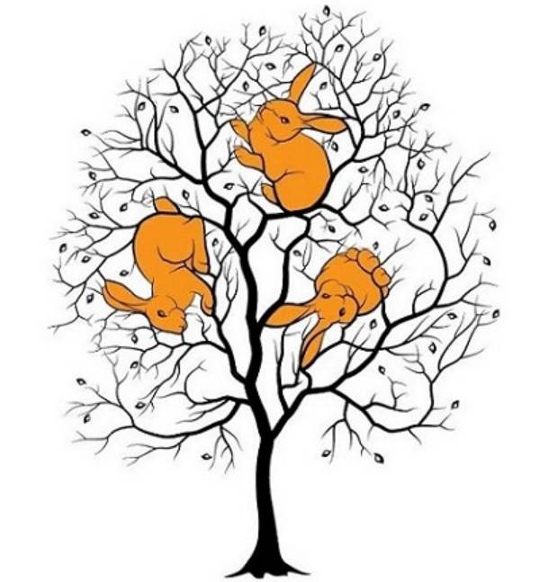 படத்தில் கொடுக்கப்பட்டுள்ளது 