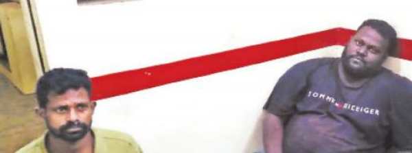  சரக்கு மிடுக்கு