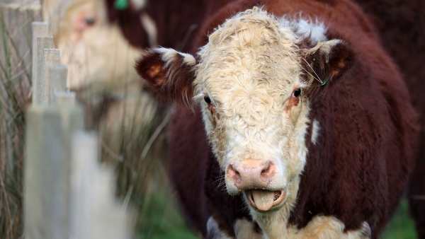 உறுதியாக உள்ள அரசு 