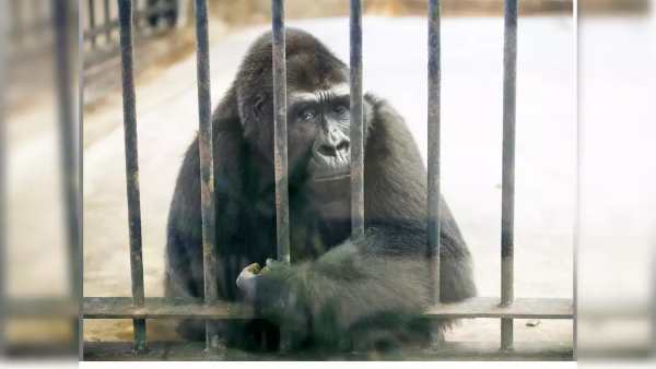  32 ஆண்டுகளாக சிறையில்... 