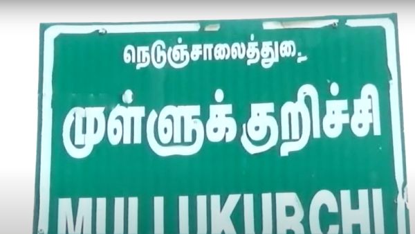 பாம்பு பாம்பு