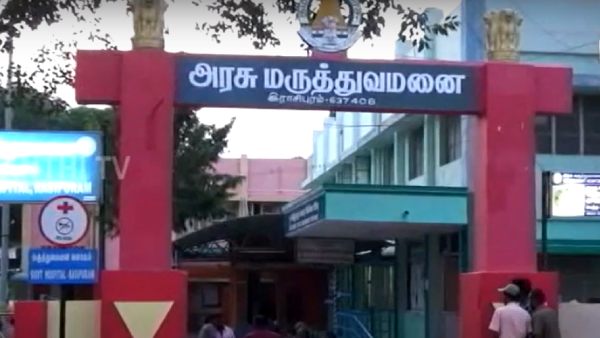 கட்டுவிரியன் கட்டுவிரியன்
