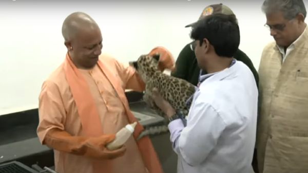 புதிய பூங்கா புதிய பூங்கா