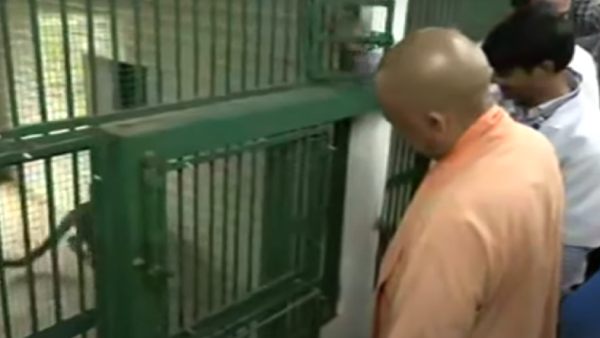 டிரெண்டாகும் வீடியோ டிரெண்டாகும் வீடியோ