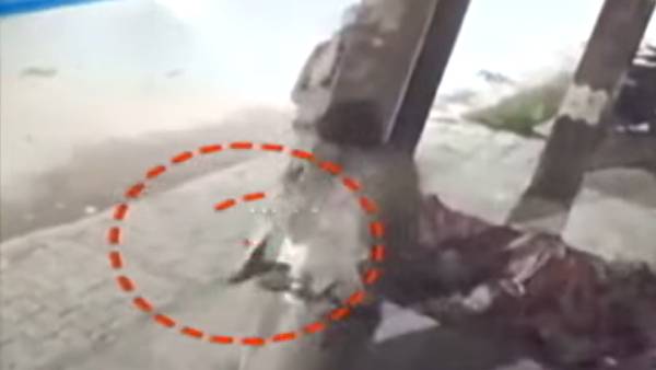 சிக்கிய 'சில்வண்டு' சிக்கிய 'சில்வண்டு'