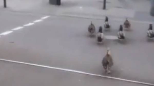 எப்படி தெரிந்திருக்கும்