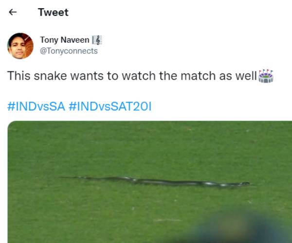 போய் பார்த்தால் பாம்பு 