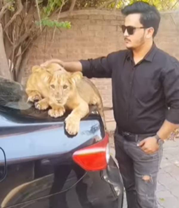 இணையத்தில் பரவும் வீடியோ இணையத்தில் பரவும் வீடியோ