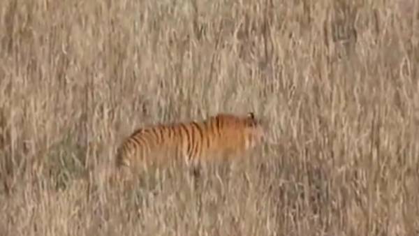 மெதுவாக பின் தொடர்ந்து..