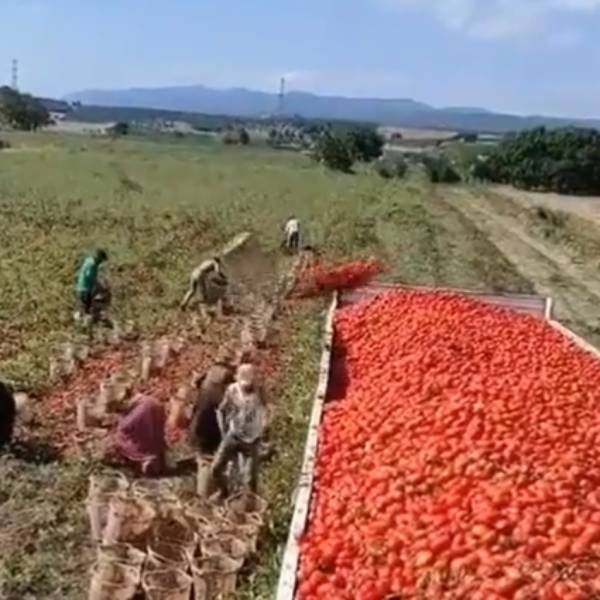 அசாத்திய திறன்கள் அசாத்திய திறன்கள்