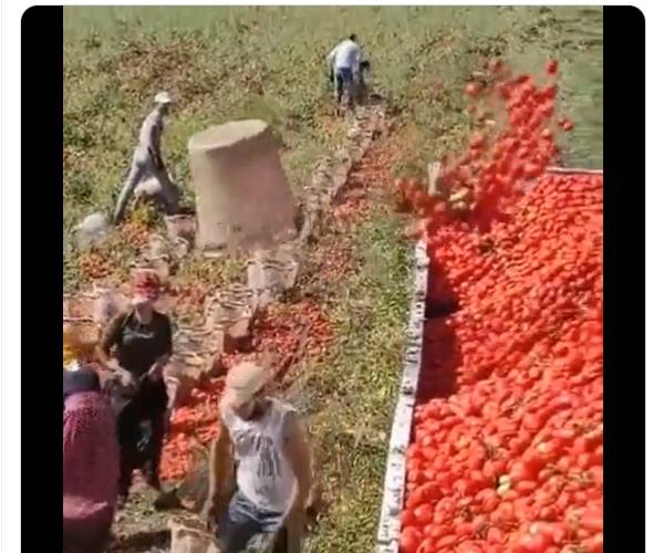 டிரெண்ட் ஆகும் வீடியோ டிரெண்ட் ஆகும் வீடியோ