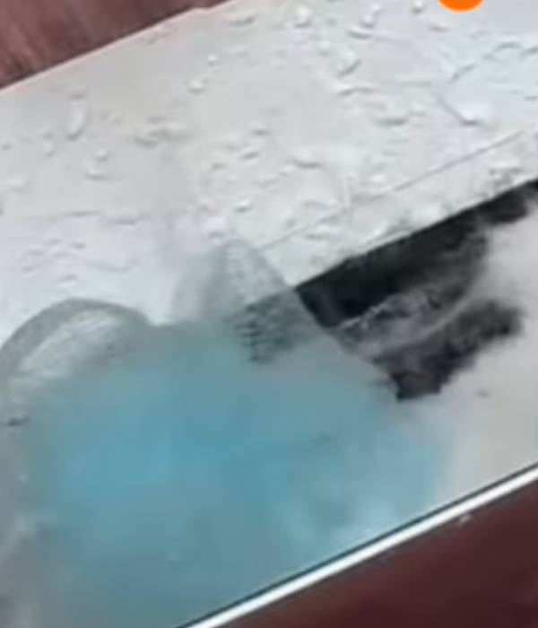 நெட்டிசன்கள் கருத்து