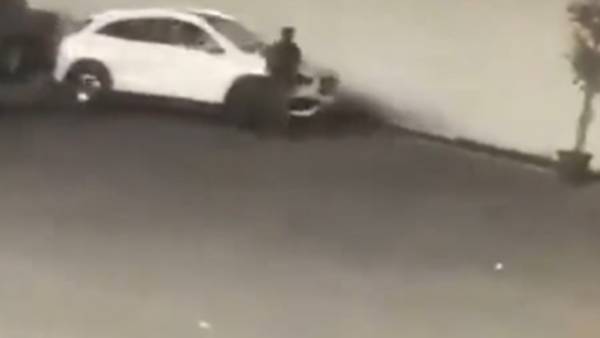 காரால் இடித்து தள்ளினார்