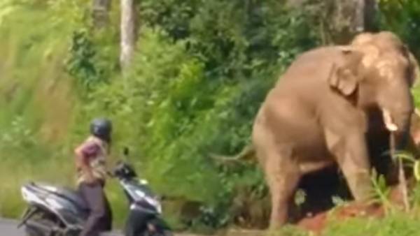 பேச்சைக் கேட்கும் வீடியோ