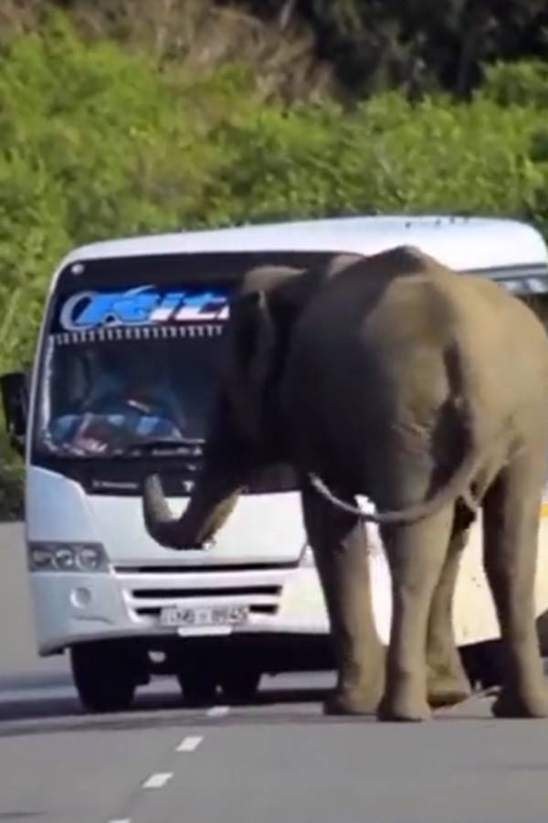 கொஞ்சம் நில்லுங்கப்பா நானும் வர்ரேன் 