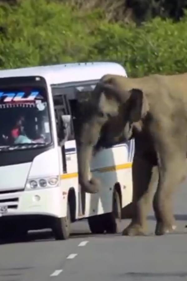 தீபாவளி விடுமுறைக்கு... 